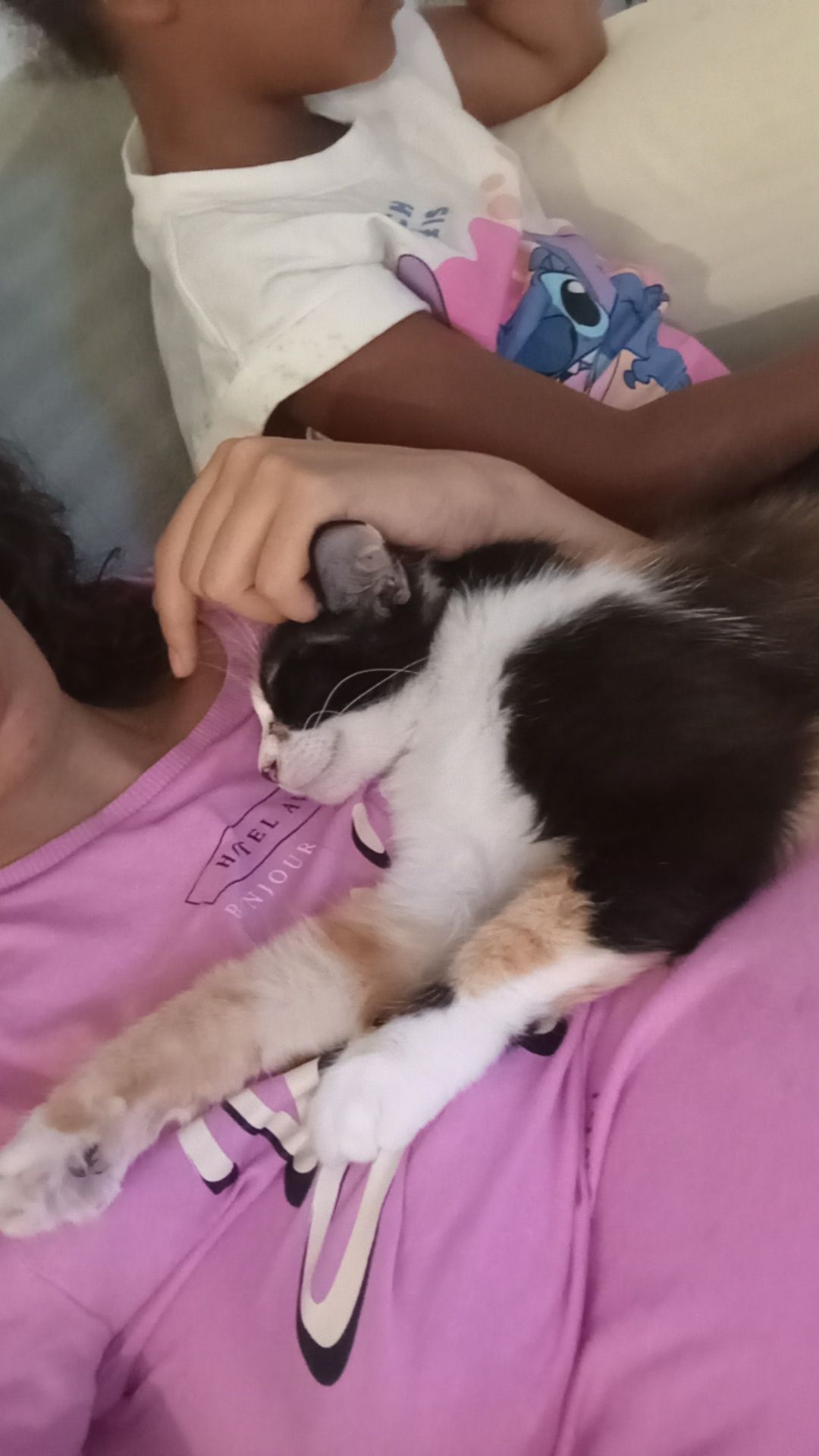 Adoção responsável