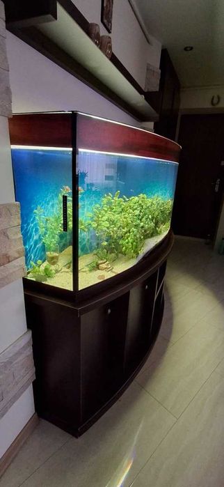 Акваріум панорамний 500 л з тумбою
