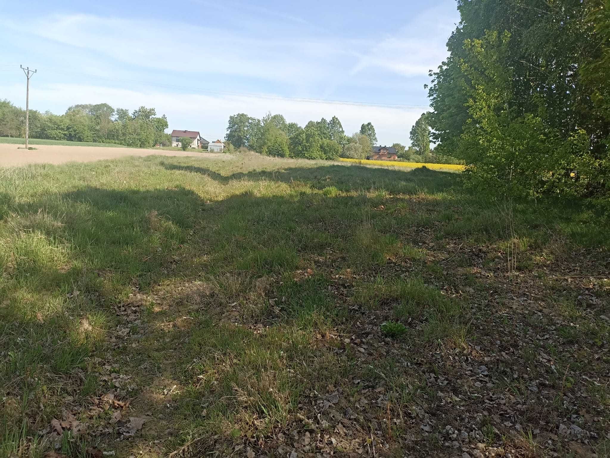 Działka 7000m2 Budowlana przemysłowa SIEDLISKO Łagów gm, przyłęk rola
