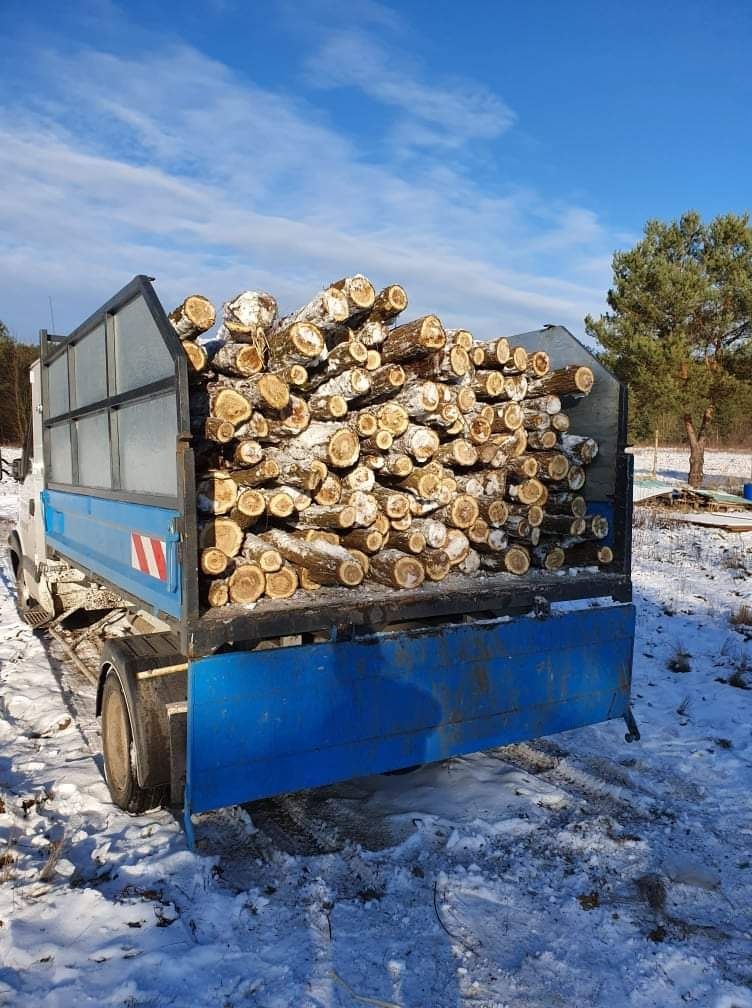 Wycinka drzew, czyszczeni, koszenie działek, mielenie gałęzi, ogrody.