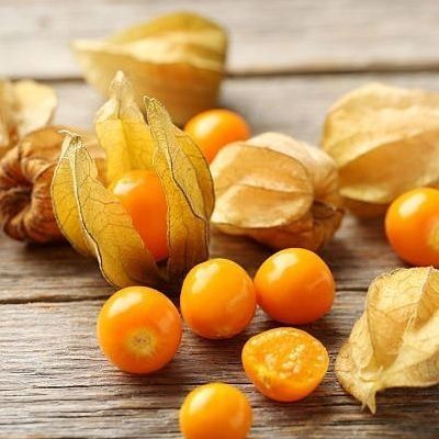 Árvore da physalis*