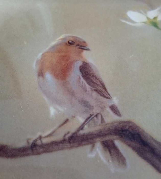 Unikat talerz porcelanowy Country Artists by Dean Kebdrick Birds ptak