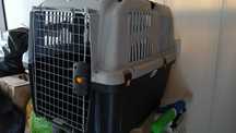 Transportadora para animais