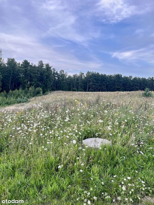 Działka budowlana 1605 m² Pierwoszyno, gmina Kosakowo