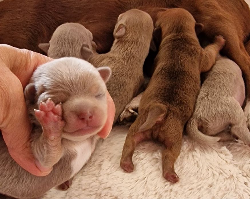 Продажу закінчено!