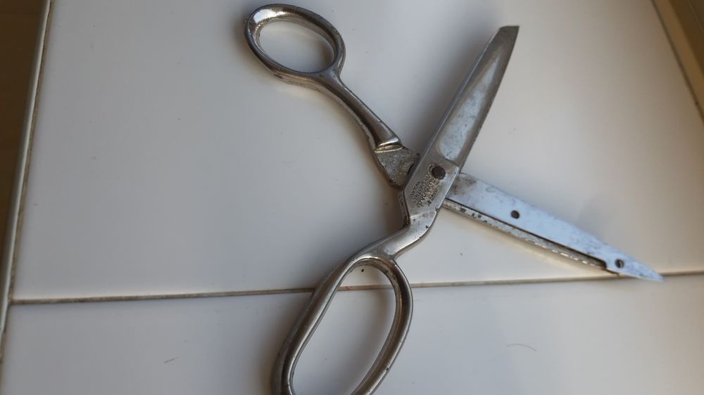 Tesouras antigas para tosquiar