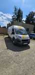 Wynajem busa Fiat Ducato L4H2 Wrocław