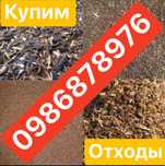 Закупаем Отходы подсолнуха, подсолнечника, відходи соняшника, сор