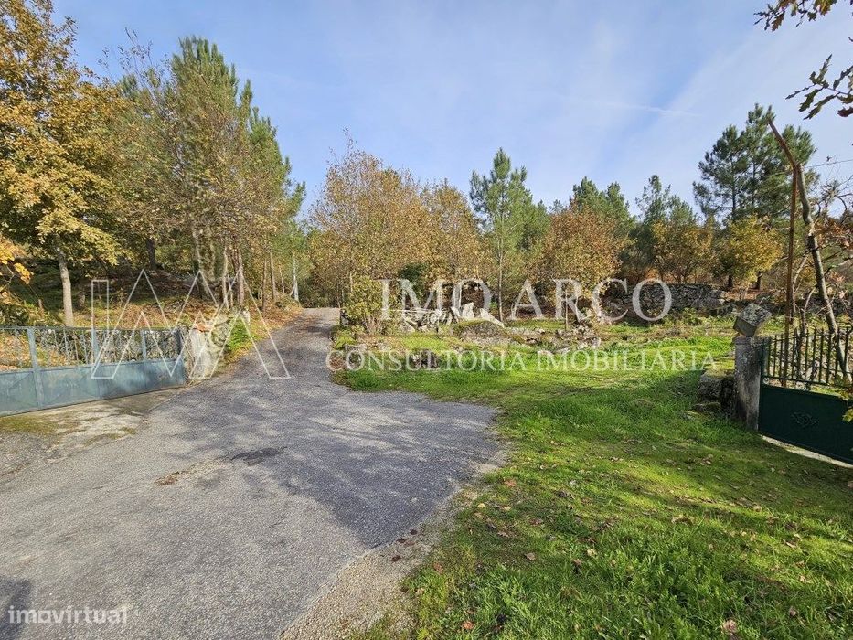 Terreno, Olival de Meanhos