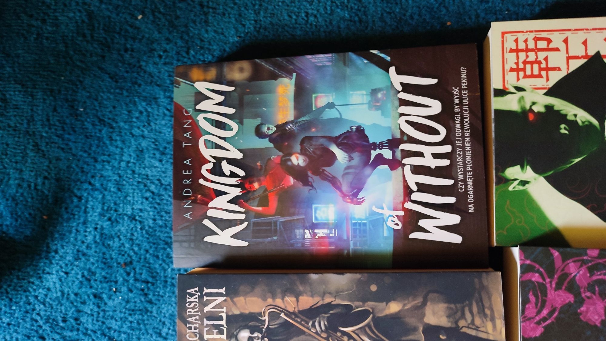 Zestaw 13 książek fantasy Smocze Kryształy Luienna Gołoborze Gideon