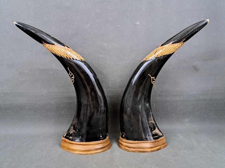 Chińskie rogi bawole, para, rzeźbione