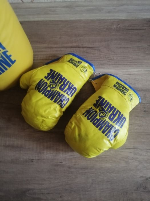 Боксерська груша з рукавицями