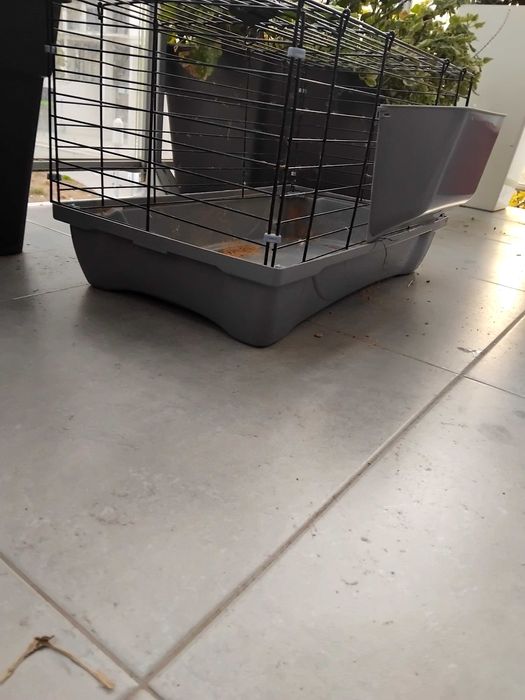 Caixa transporte animais