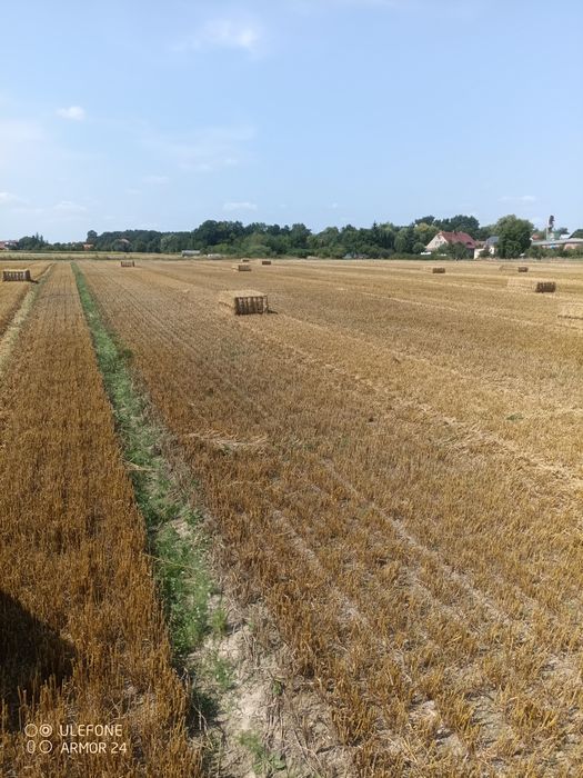 Słoma w dużej kostce