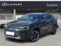 Lexus UX 300h Business Edition | VAT 23% | Salon PL | ASO | Lexus Leszno