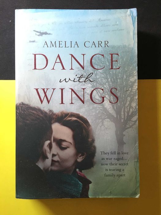 Amelia Carr - Dance with wings