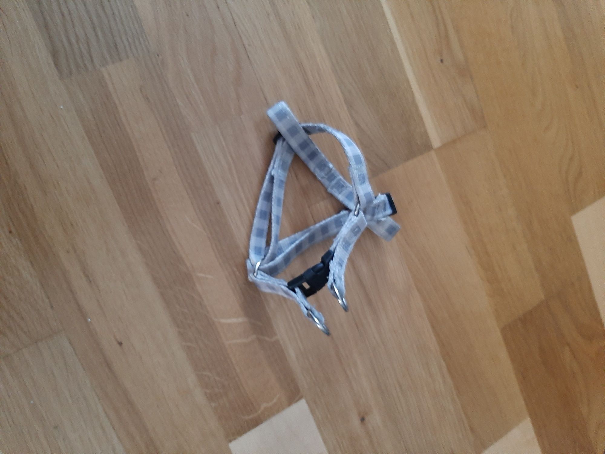 Akcesoria dla psów