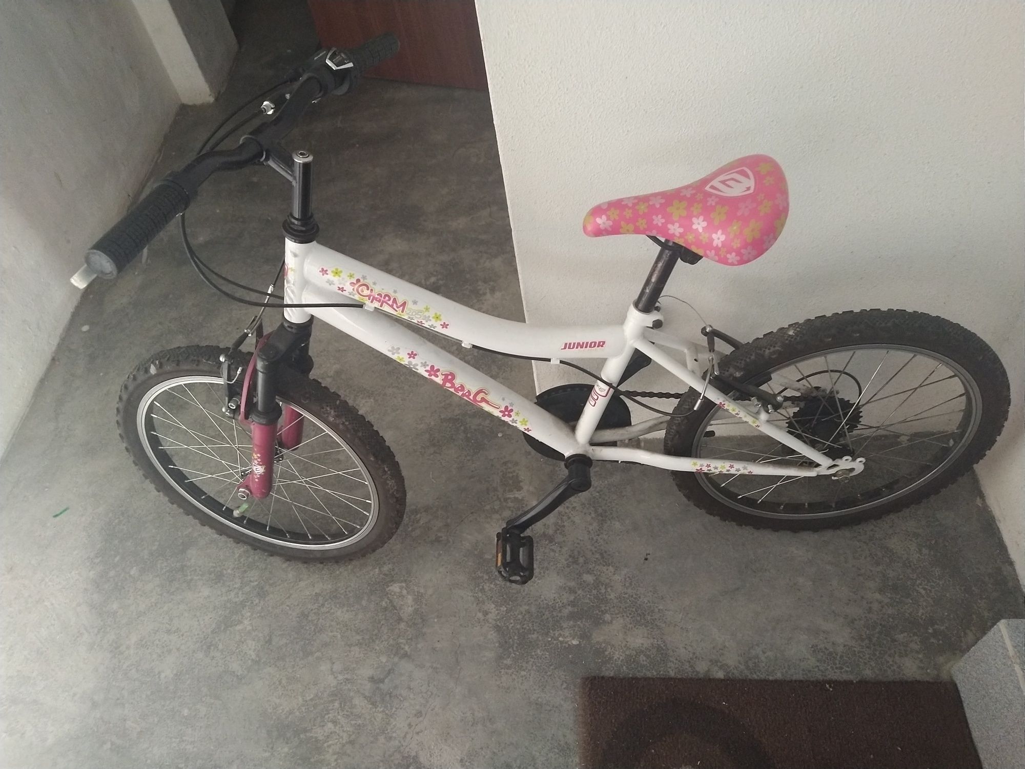 Vendo 2 bicicletas de BTT 6 velocidades