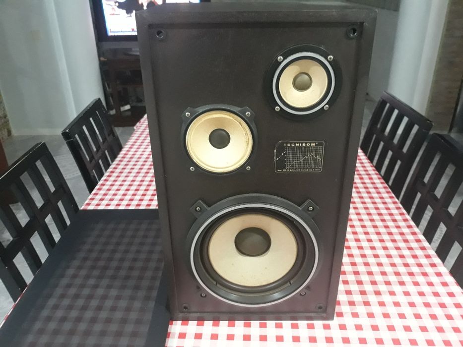 1 Coluna de som Tecnison 100w