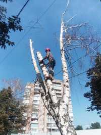 спилить дерево в Харькове или области