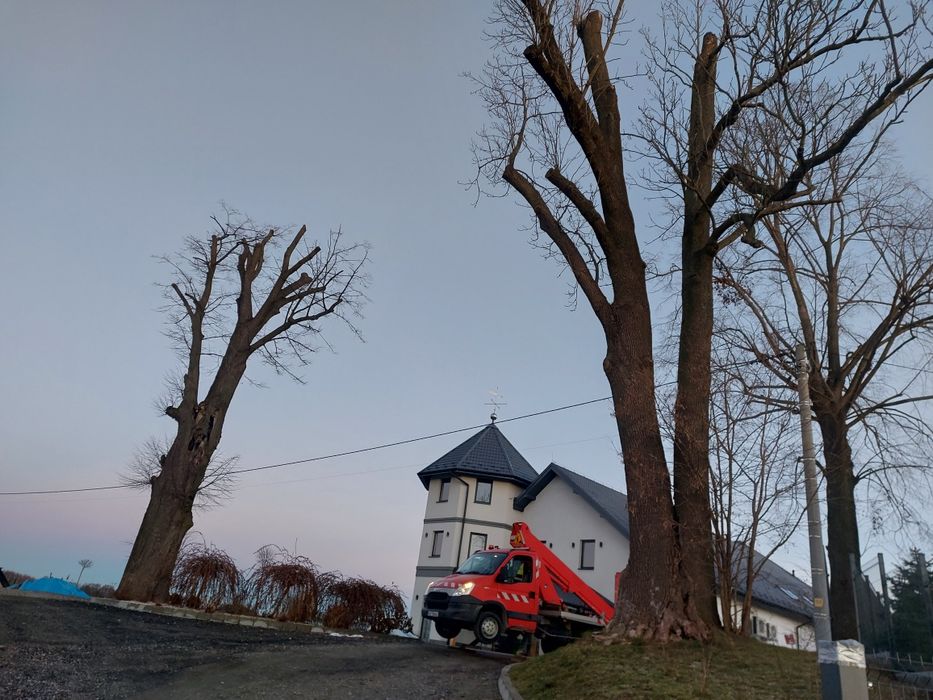 Wycinka Przycinka w trudno dostępnych miejscach podnośnik koszowy