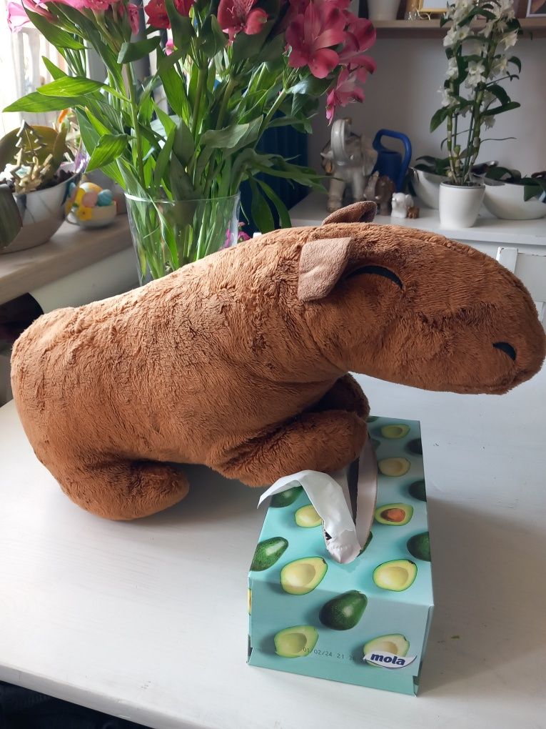 Kapibara 50 cm maskotka