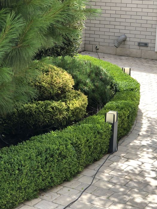 Садівник Петрович