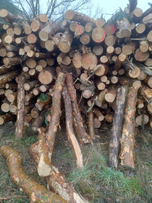 Sprzedam drzewo opałowe