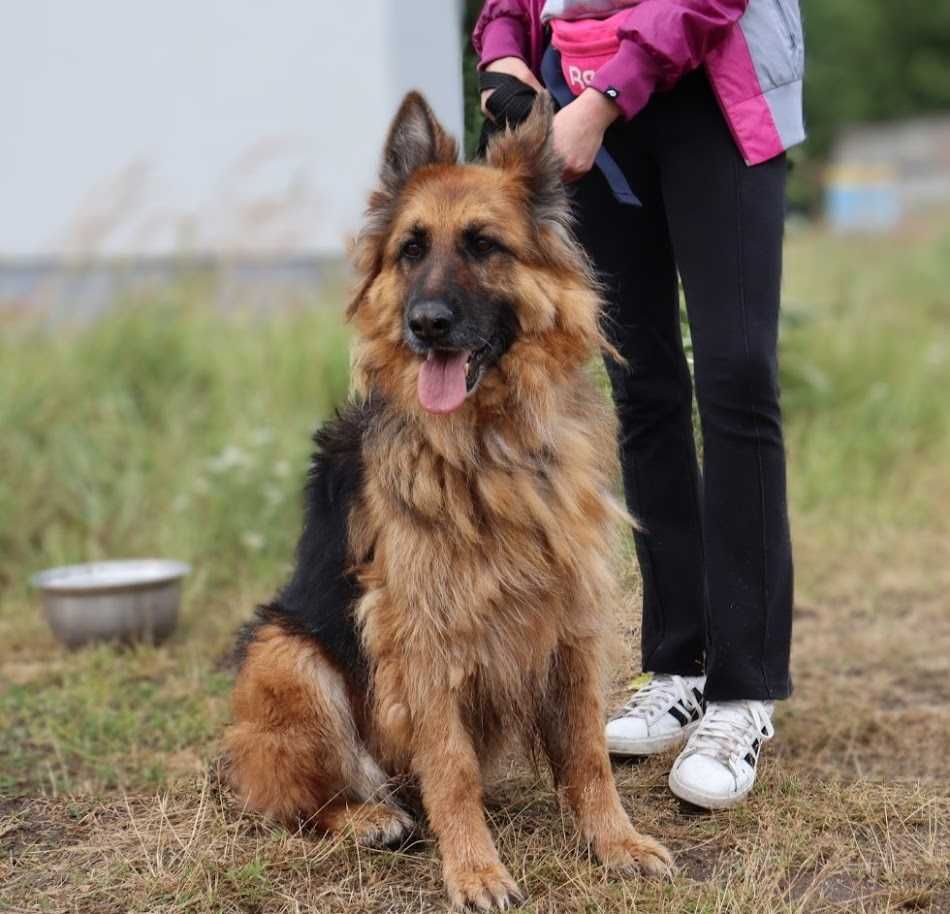 spokojna seniorka czeka na dom