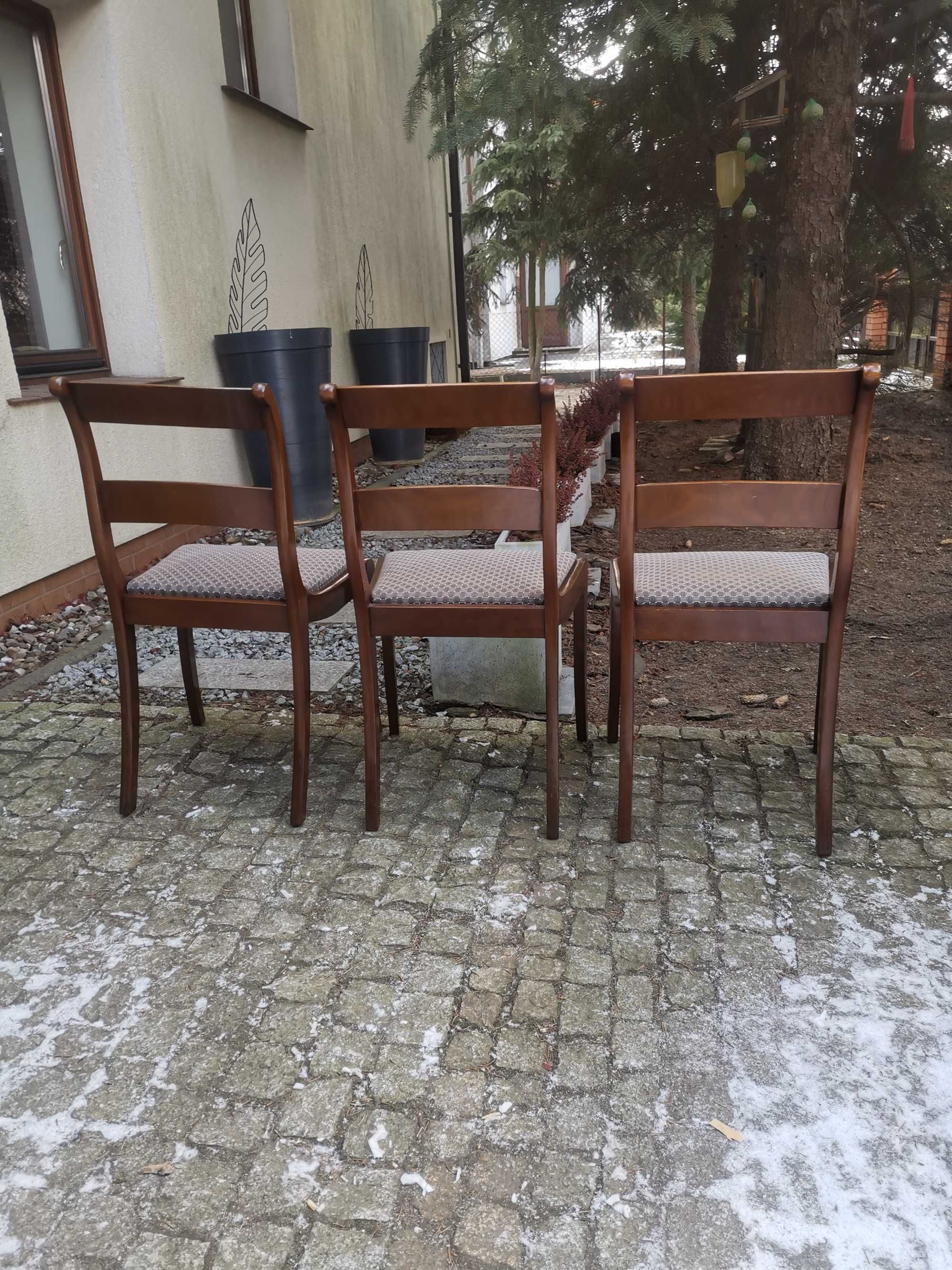Mahoniowe krzesła XIXwiek.