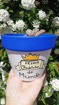 Plantas em vasos personalizados