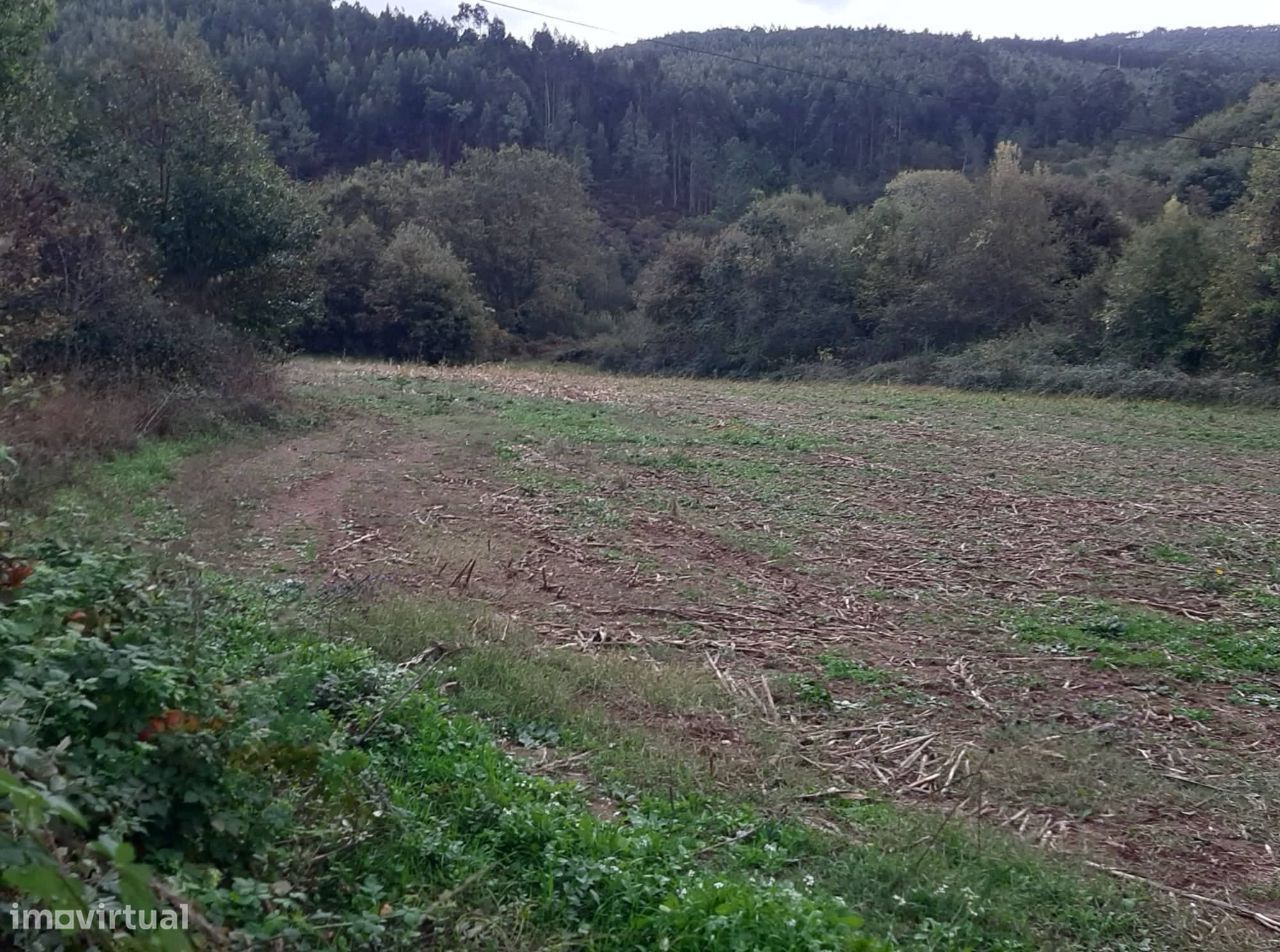Vende Quinta em Paraíso Castelo Paiva