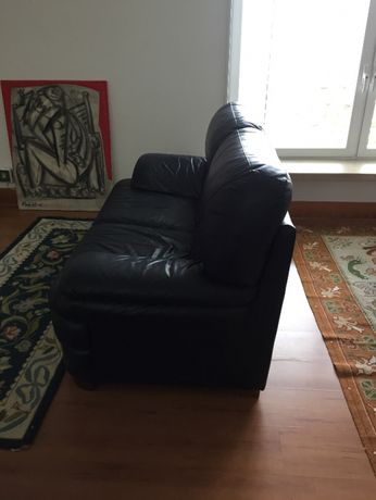 sofa em couro azul escuro dois lugares