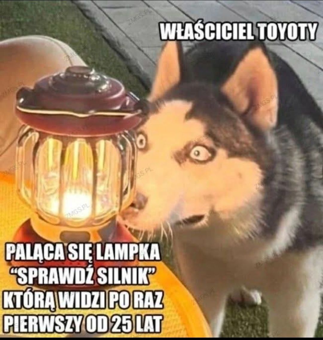 Śliczna Toyota Avensis 2.0 D4d bogate wyposażenie