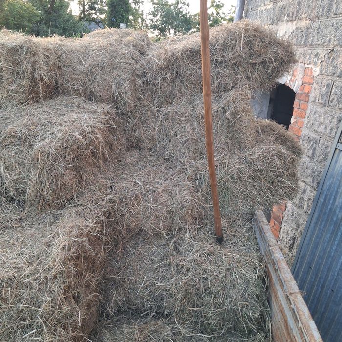 Sprzedam siano kostki