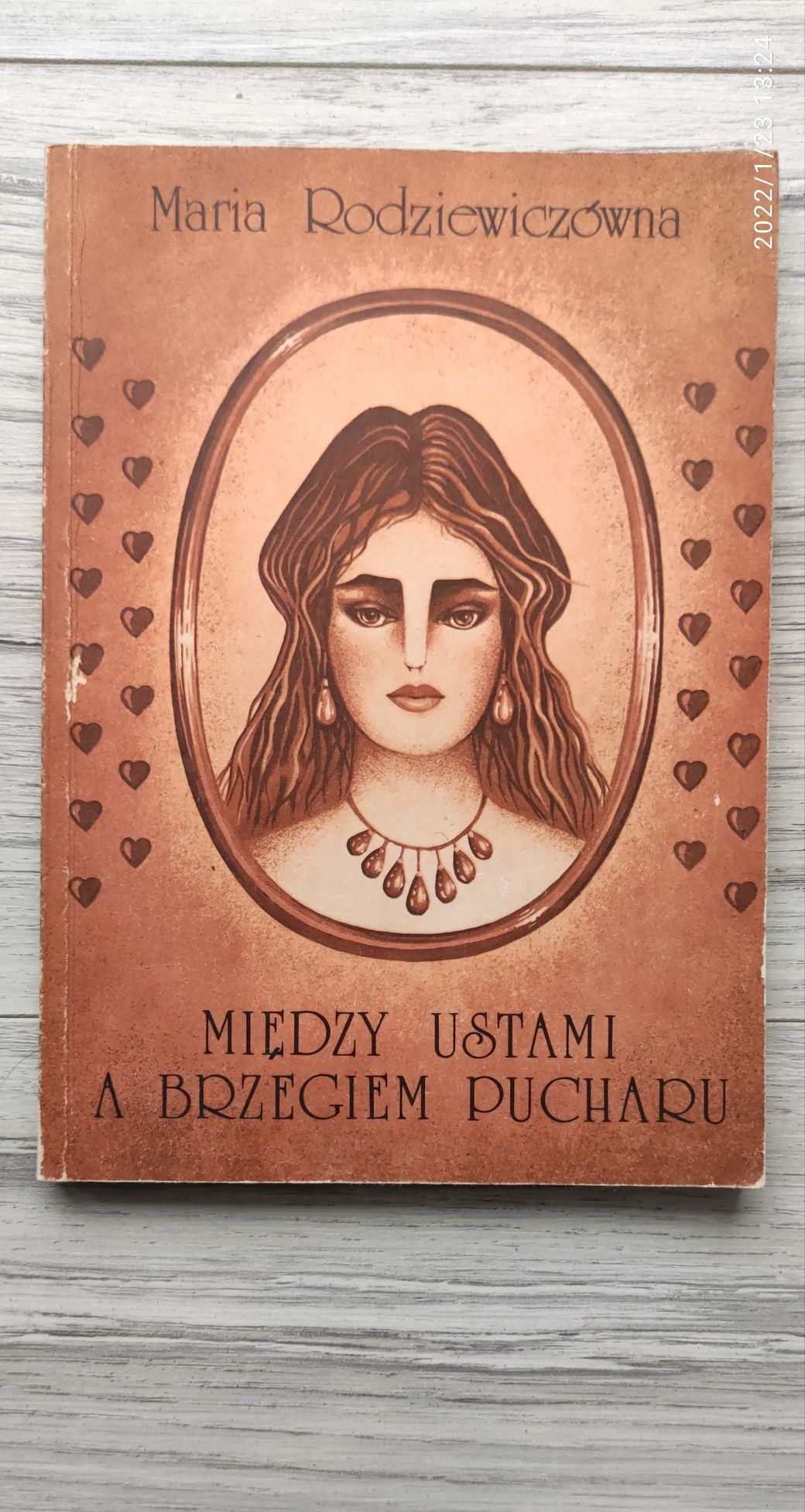 Między ustami a brzegiem pucharu Maria Rodziewiczówna