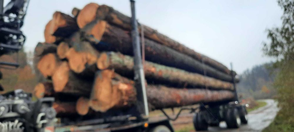 DREWNO OKRĄGŁE Tartaczne, duże ilości stała współpraca