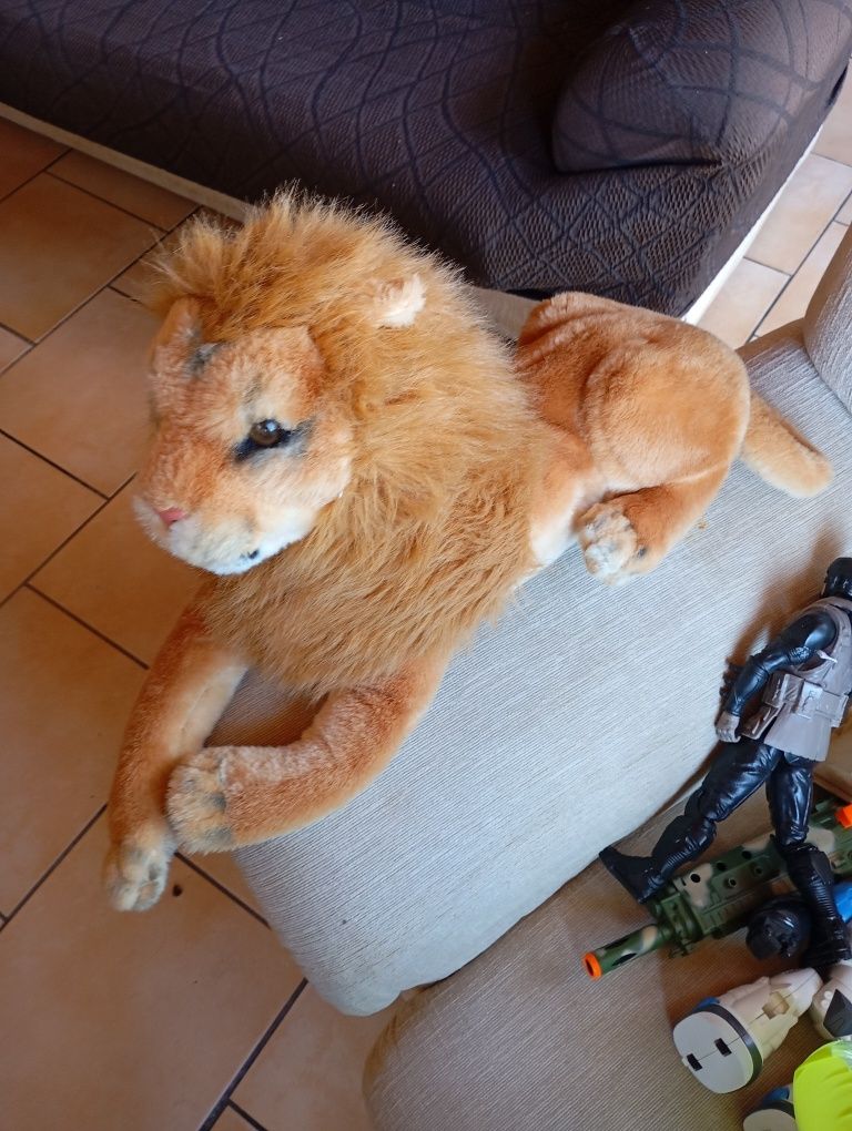 Peluche brinquedo