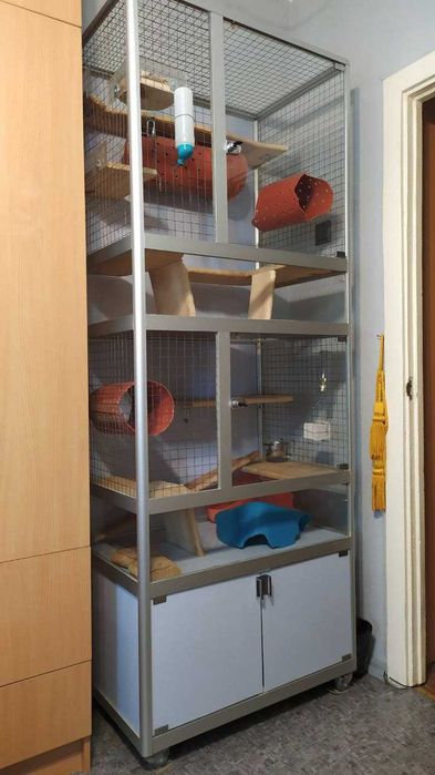 Вітрина-клітка для шиншил