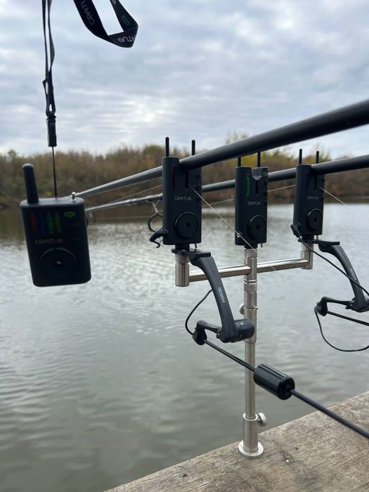 Carp pro caratus 3+1