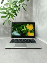 Ноутбук HP EliteBook 840 G5/i5-8350U/8/256 GB/14 "Full HD IPS/Гарантія