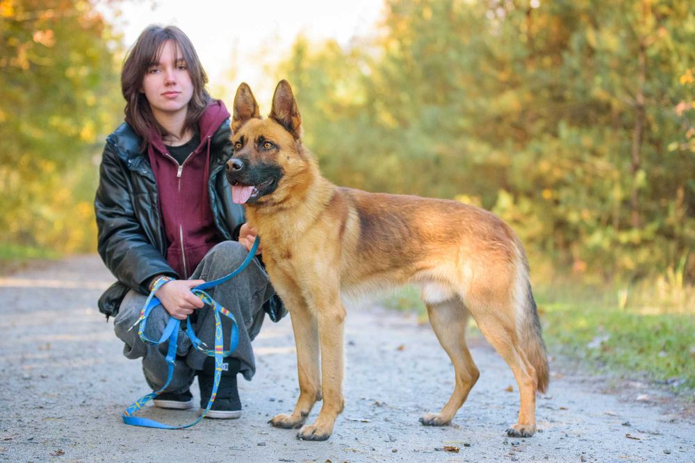 PAKER - wymagający kawaler w typie ON pomieszany z Malinois