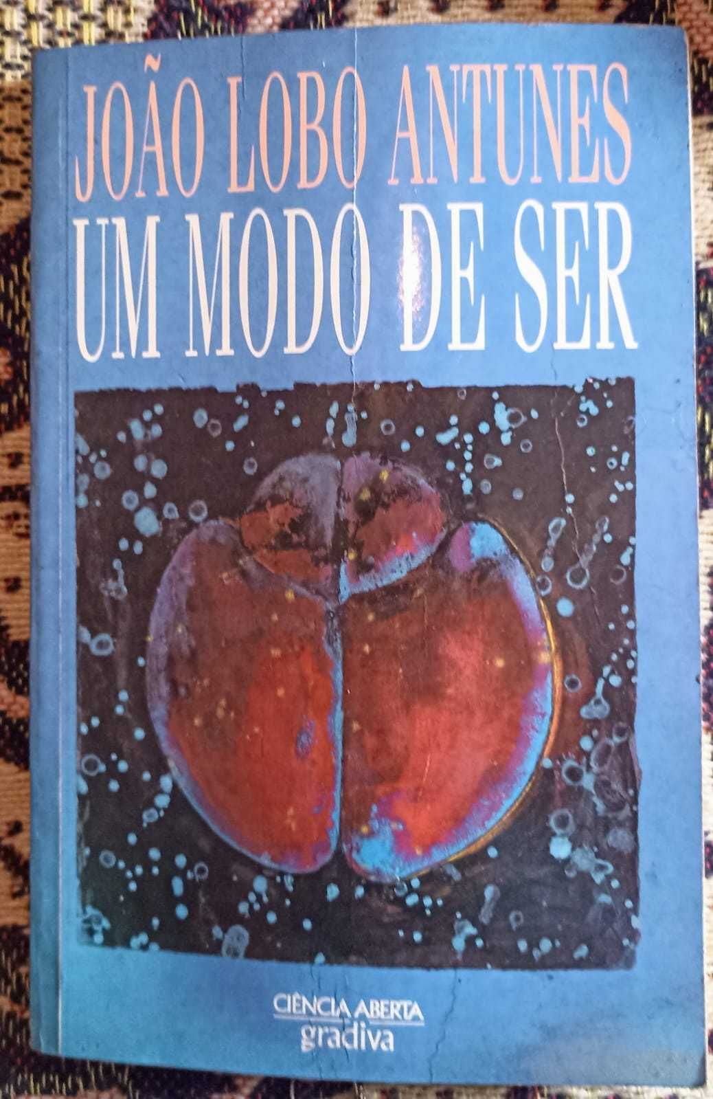 Livro Um Modo de Ser