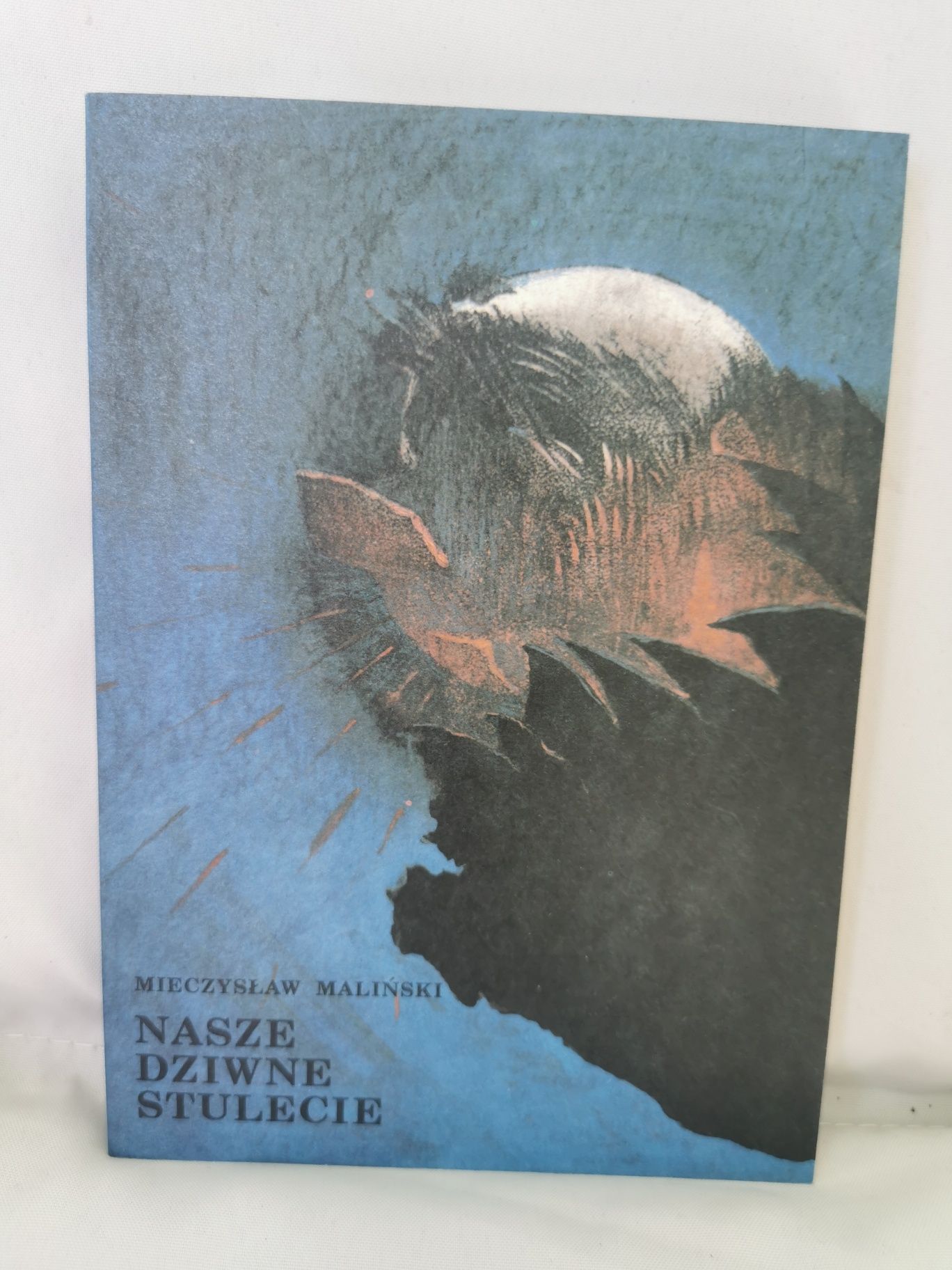 Nasze dziwne stulecie - Ks.Mieczysław Maliński