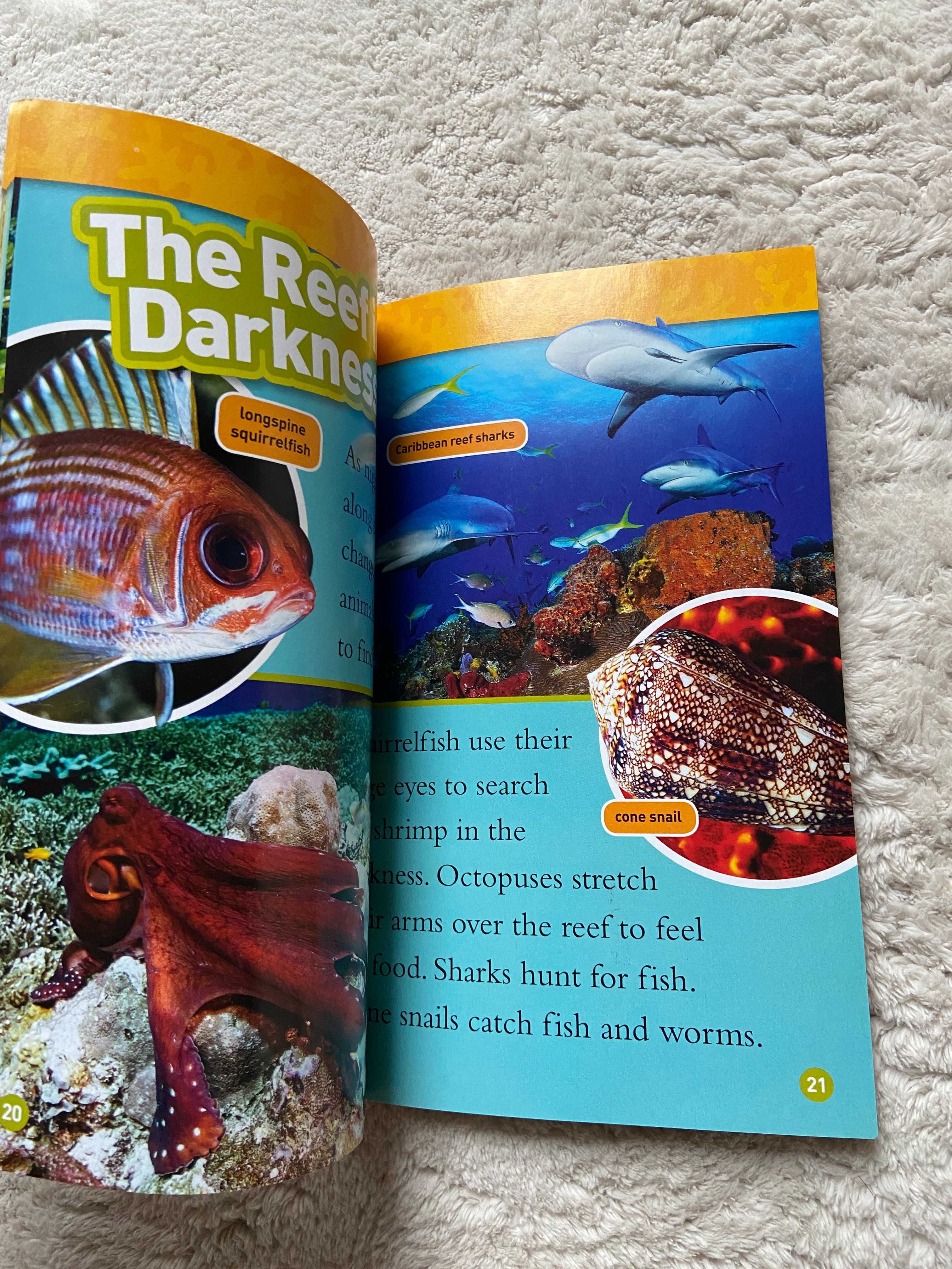 Seria 3 National Geographic Pyramids L1 Coral Reefs L2 Whales L3