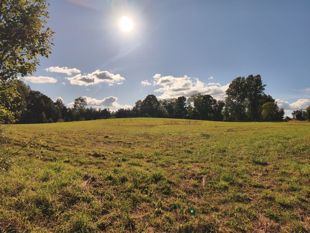 Piękne działki w okolicy jeziora Narie. Cisza natura. Super inwestycja