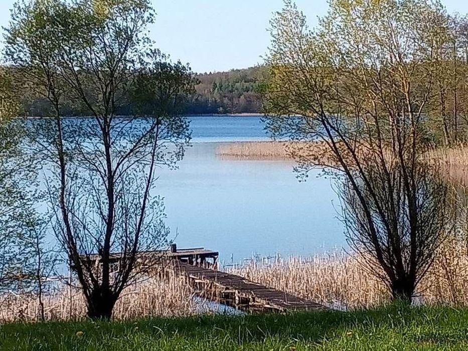 Sprzedam piękne siedlisko i gospodarstwo rolne