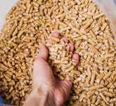Pellet Drzewny Producent
