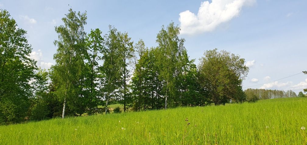 Działka budowlana nad jeziorem Dgał Wielki Pieczarki SWJM