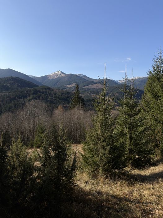 Земельна ділянка в Дземброні